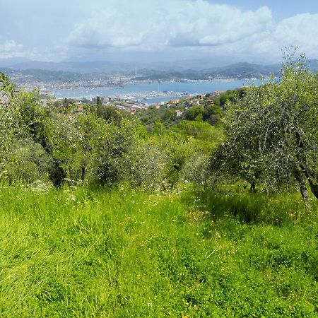 Gli Ulivi Sul Golfo E Le 5 Terre Διαμέρισμα Λα Σπέτσια Εξωτερικό φωτογραφία