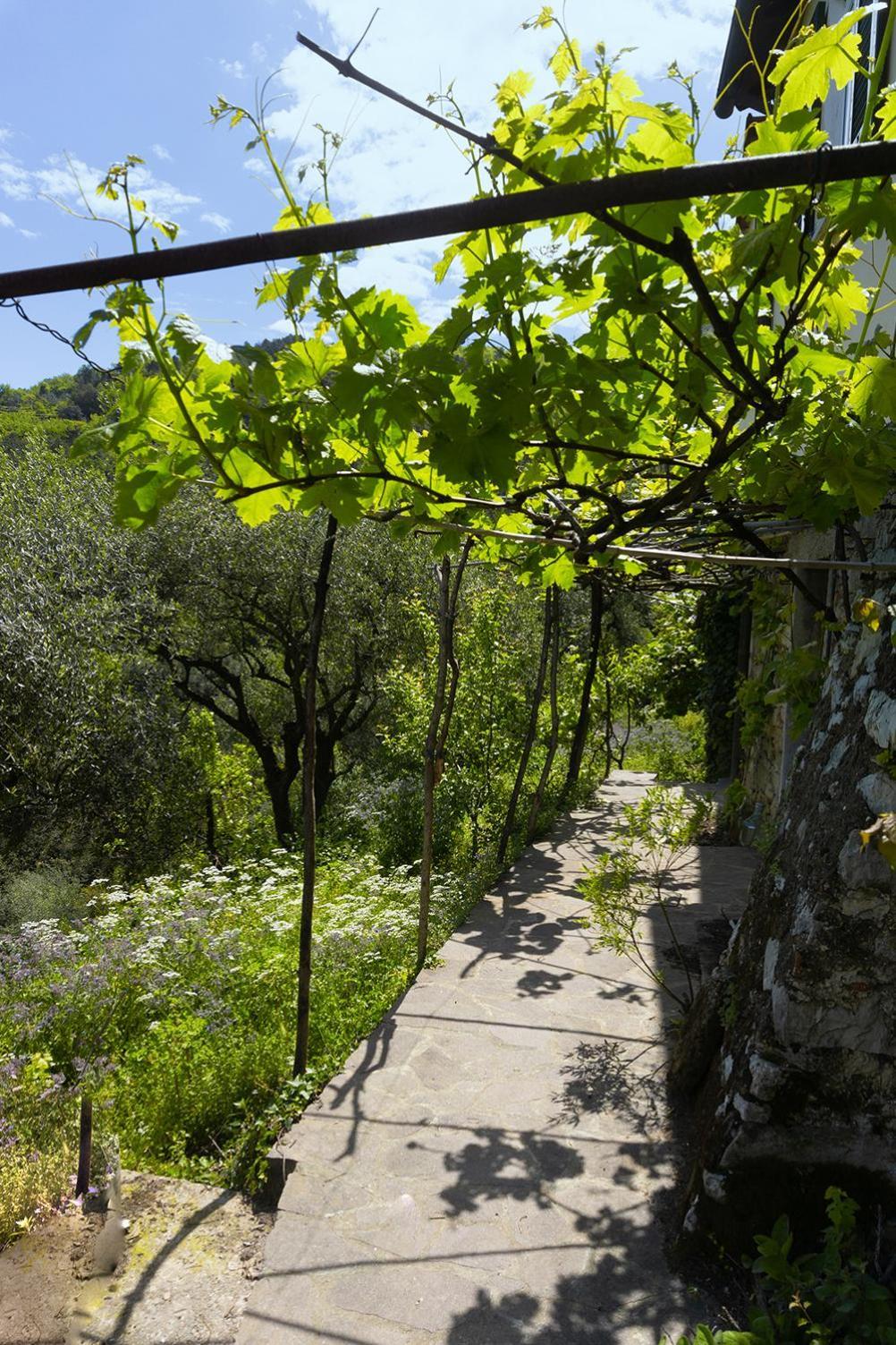 Gli Ulivi Sul Golfo E Le 5 Terre Διαμέρισμα Λα Σπέτσια Εξωτερικό φωτογραφία