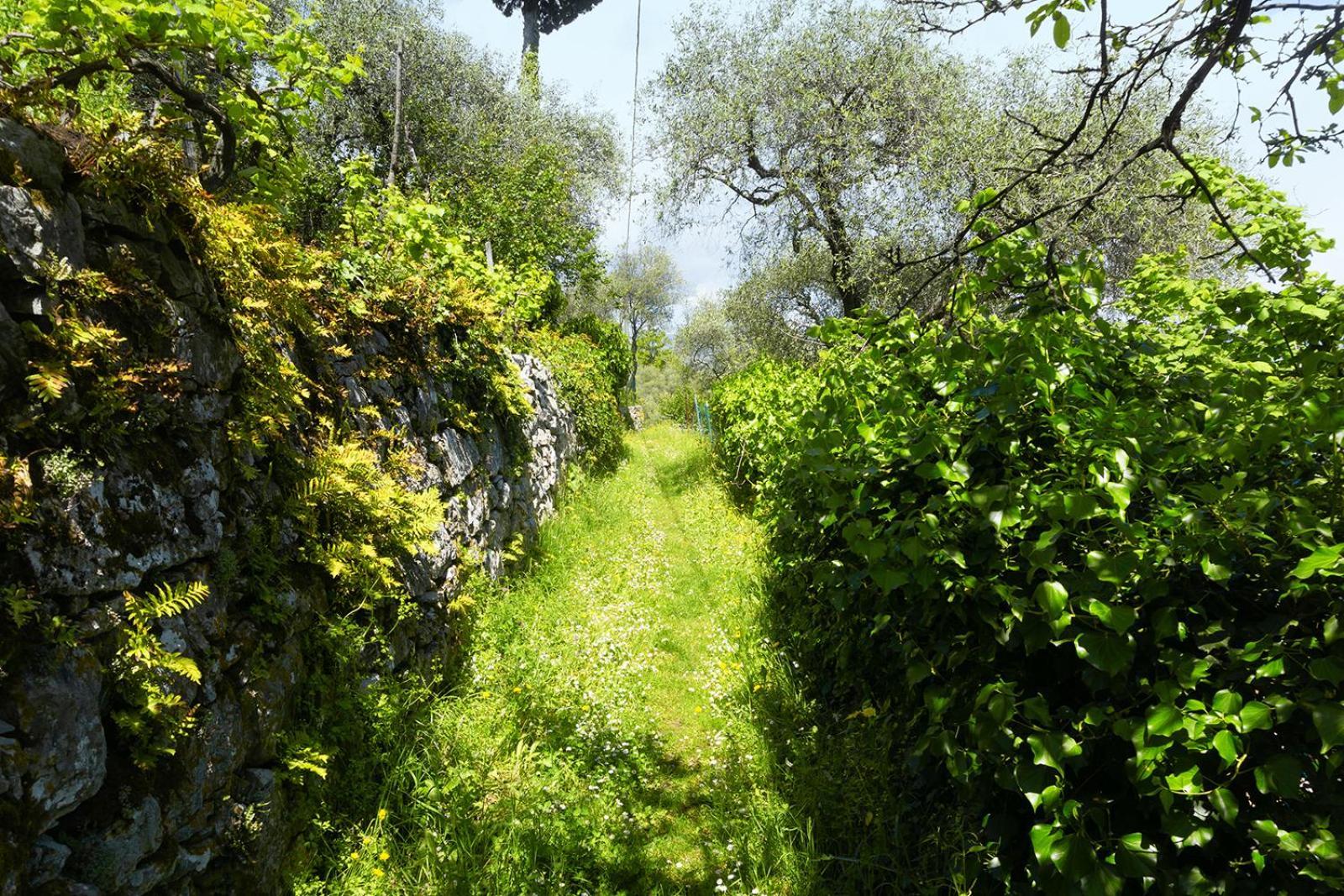 Gli Ulivi Sul Golfo E Le 5 Terre Διαμέρισμα Λα Σπέτσια Εξωτερικό φωτογραφία
