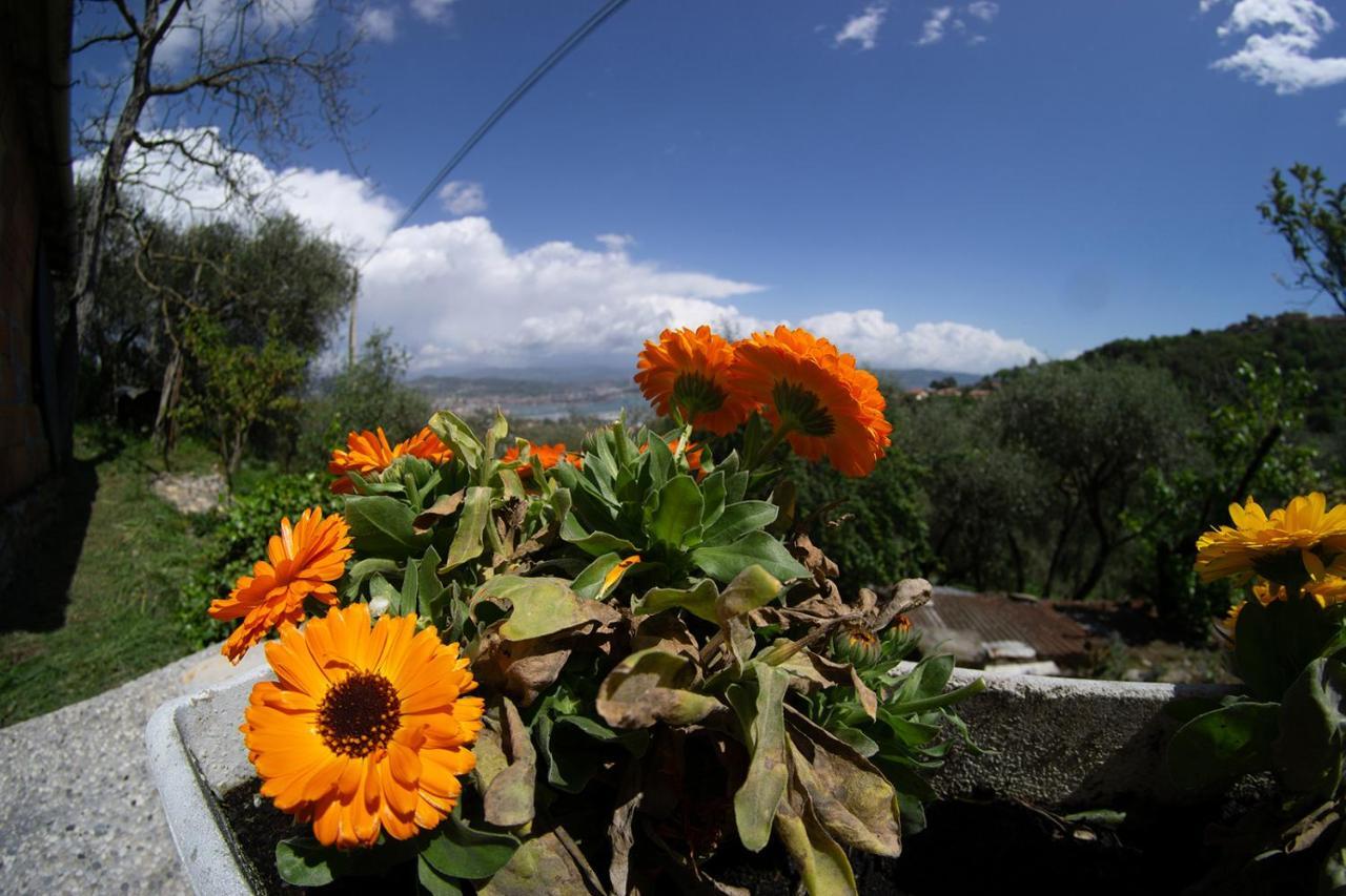 Gli Ulivi Sul Golfo E Le 5 Terre Διαμέρισμα Λα Σπέτσια Εξωτερικό φωτογραφία
