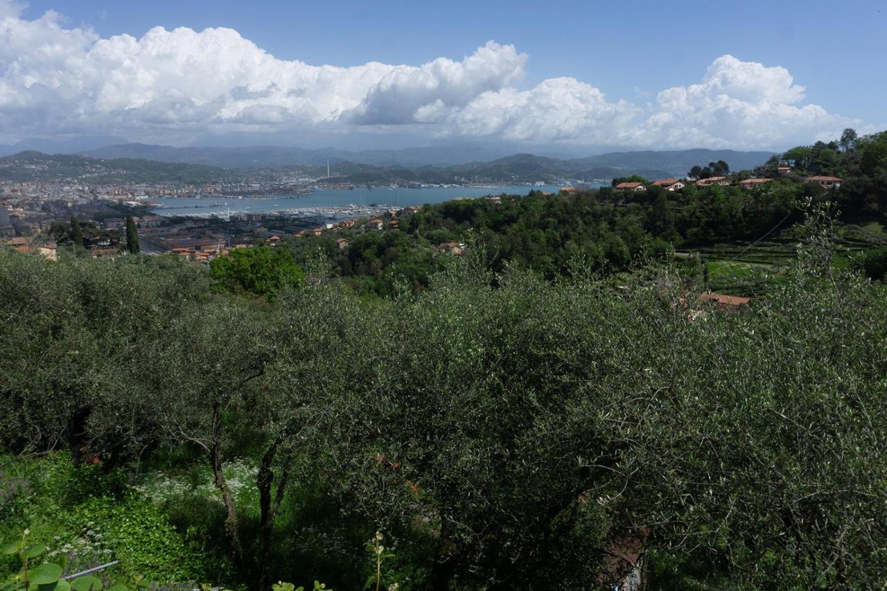 Gli Ulivi Sul Golfo E Le 5 Terre Διαμέρισμα Λα Σπέτσια Εξωτερικό φωτογραφία